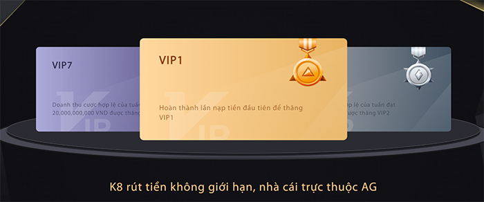 VIP K8